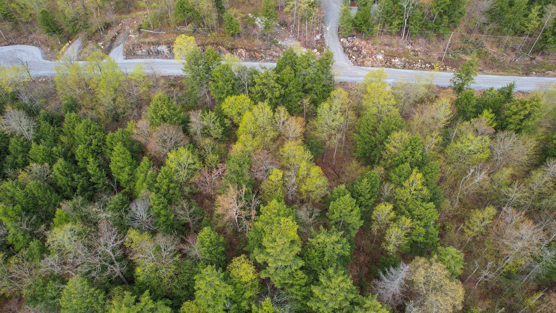 









37


Ch. de la Fresque

,
Val-des-Monts,







QC
J8N0C5

