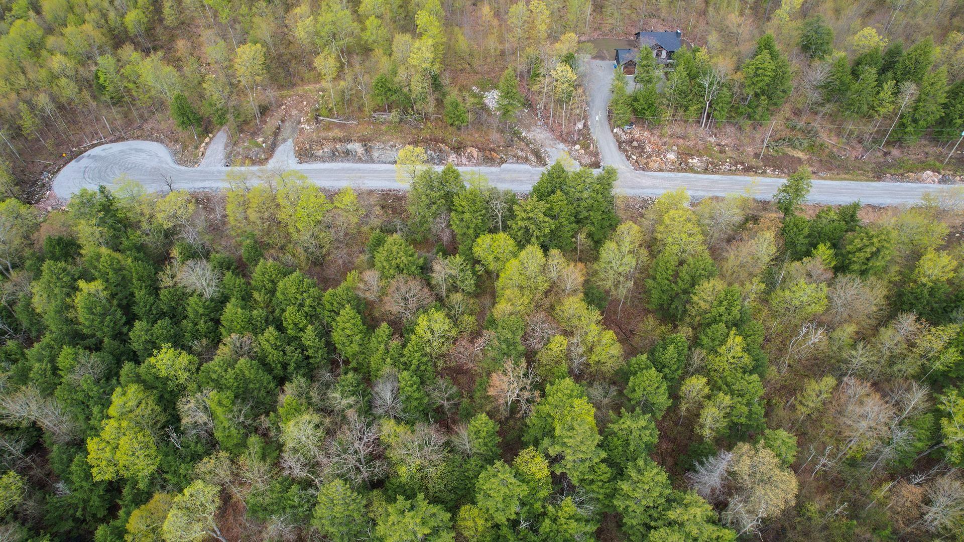 









37


Ch. de la Fresque

,
Val-des-Monts,







QC
J8N0C5

