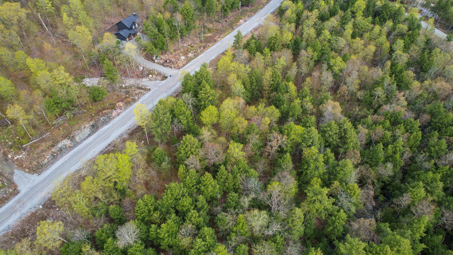 









37


Ch. de la Fresque

,
Val-des-Monts,







QC
J8N0C5

