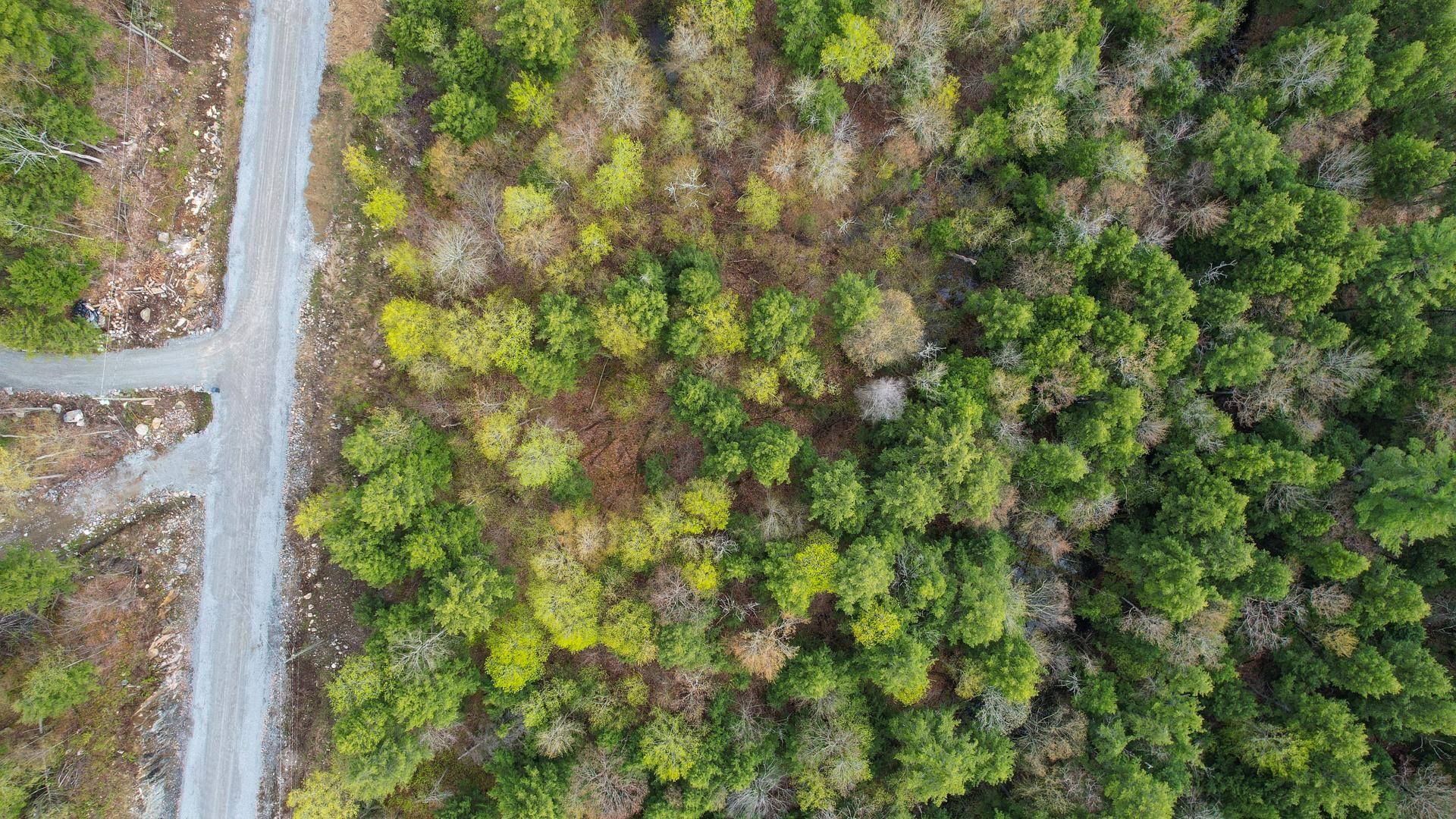 









37


Ch. de la Fresque

,
Val-des-Monts,







QC
J8N0C5

