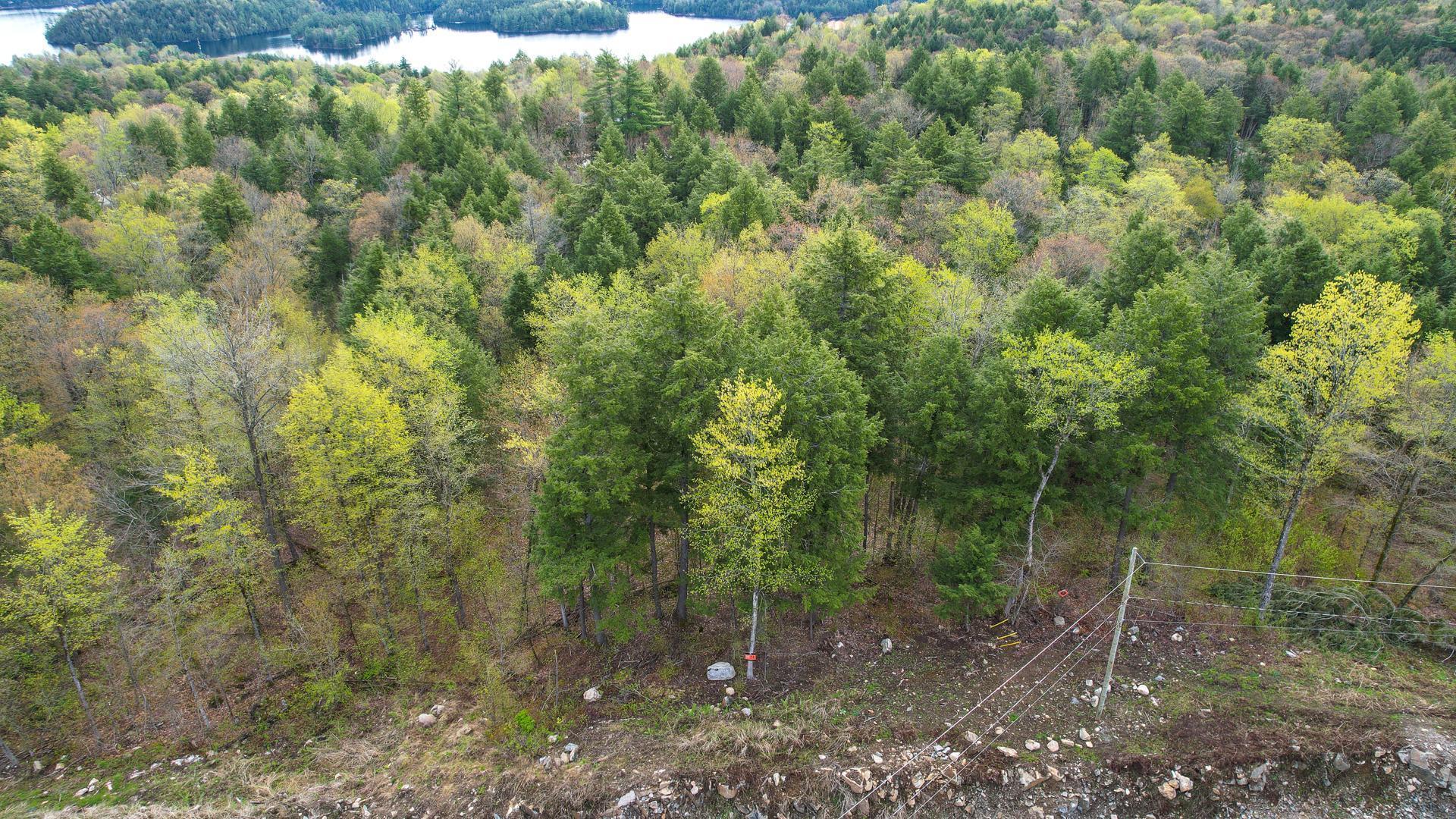 









37


Ch. de la Fresque

,
Val-des-Monts,







QC
J8N0C5

