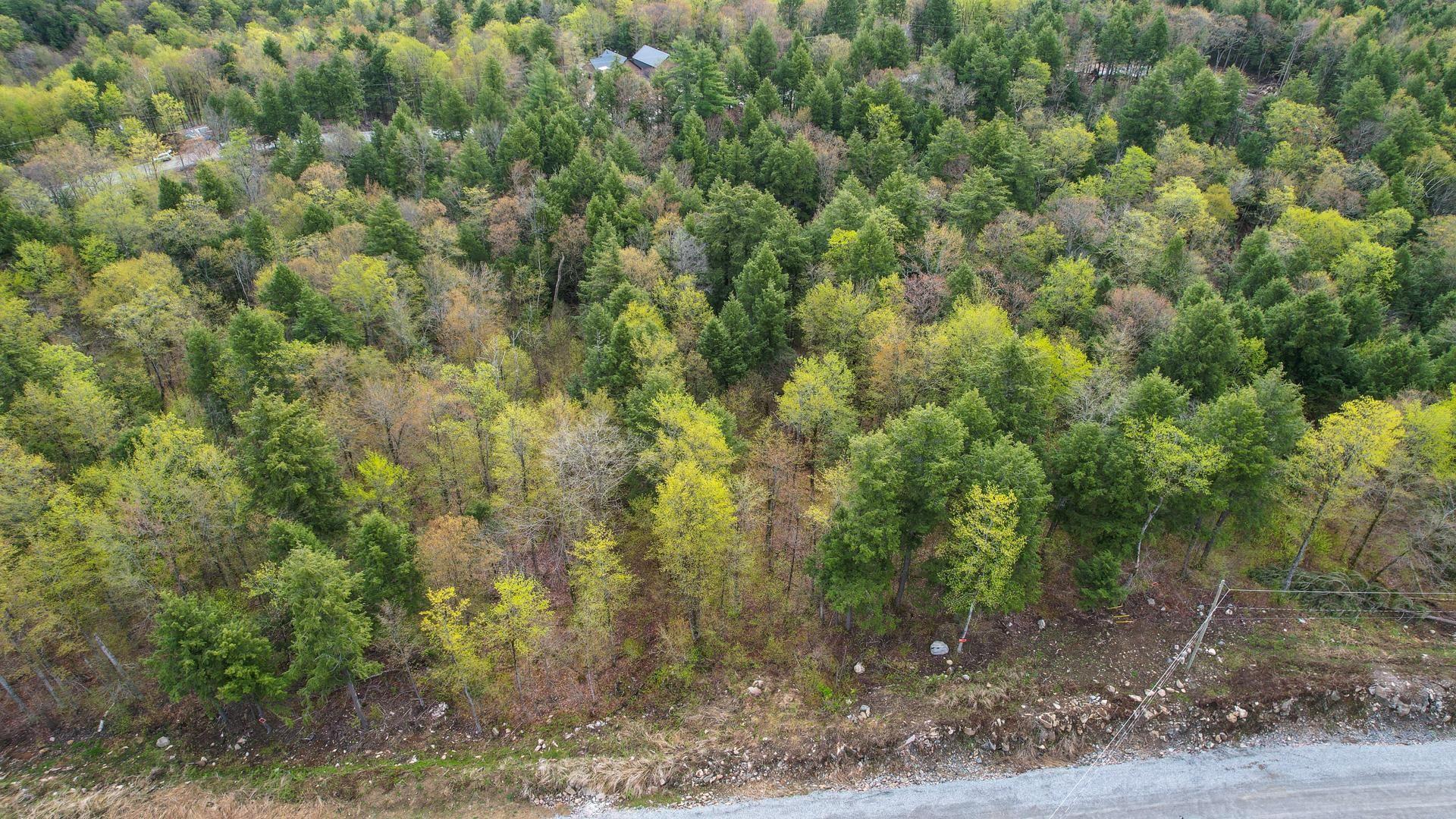









37


Ch. de la Fresque

,
Val-des-Monts,







QC
J8N0C5

