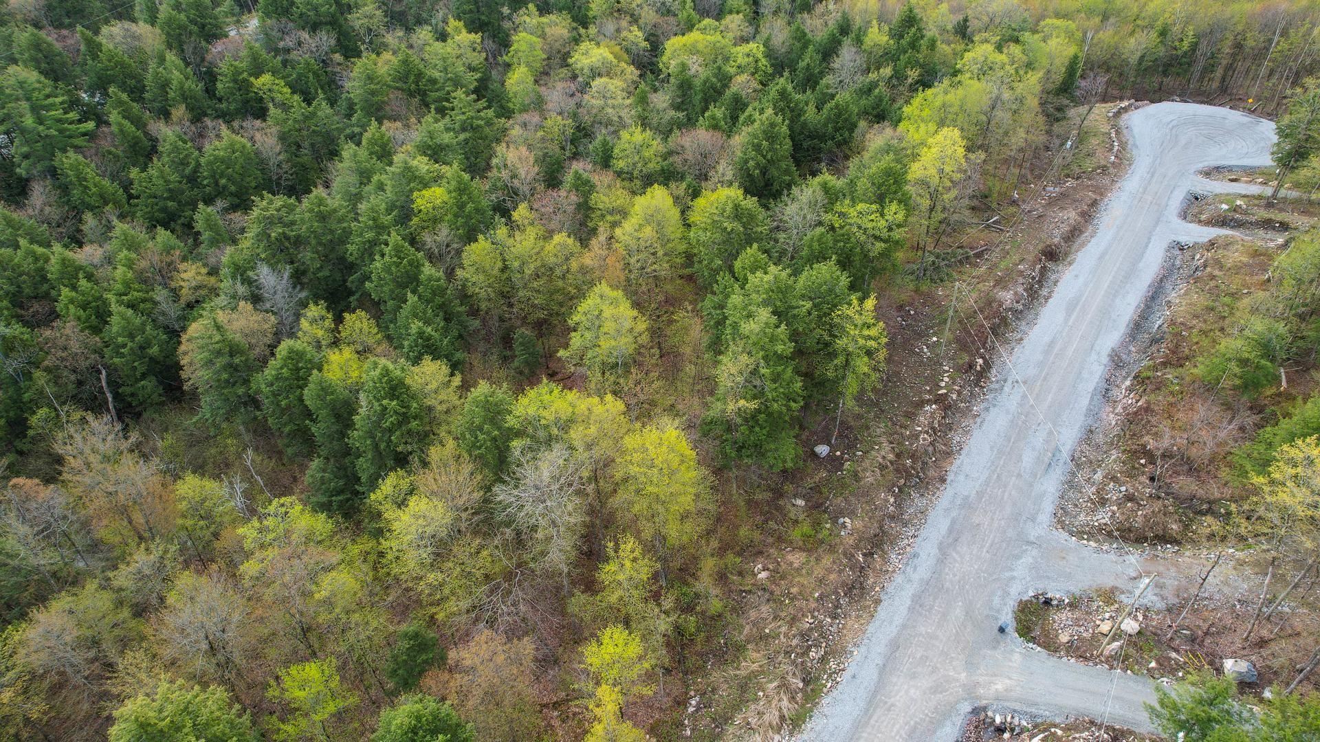 









37


Ch. de la Fresque

,
Val-des-Monts,







QC
J8N0C5

