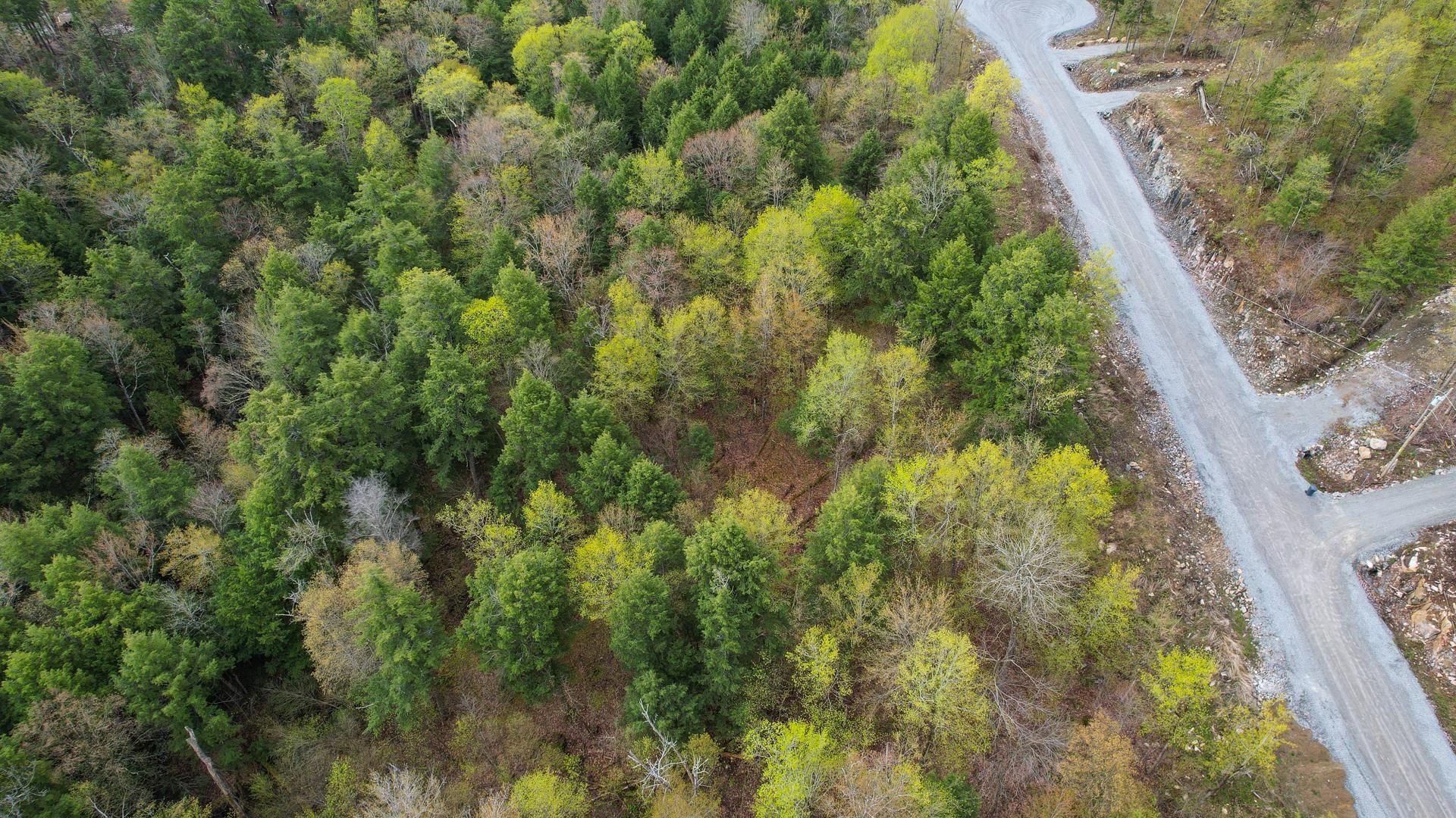 









37


Ch. de la Fresque

,
Val-des-Monts,







QC
J8N0C5

