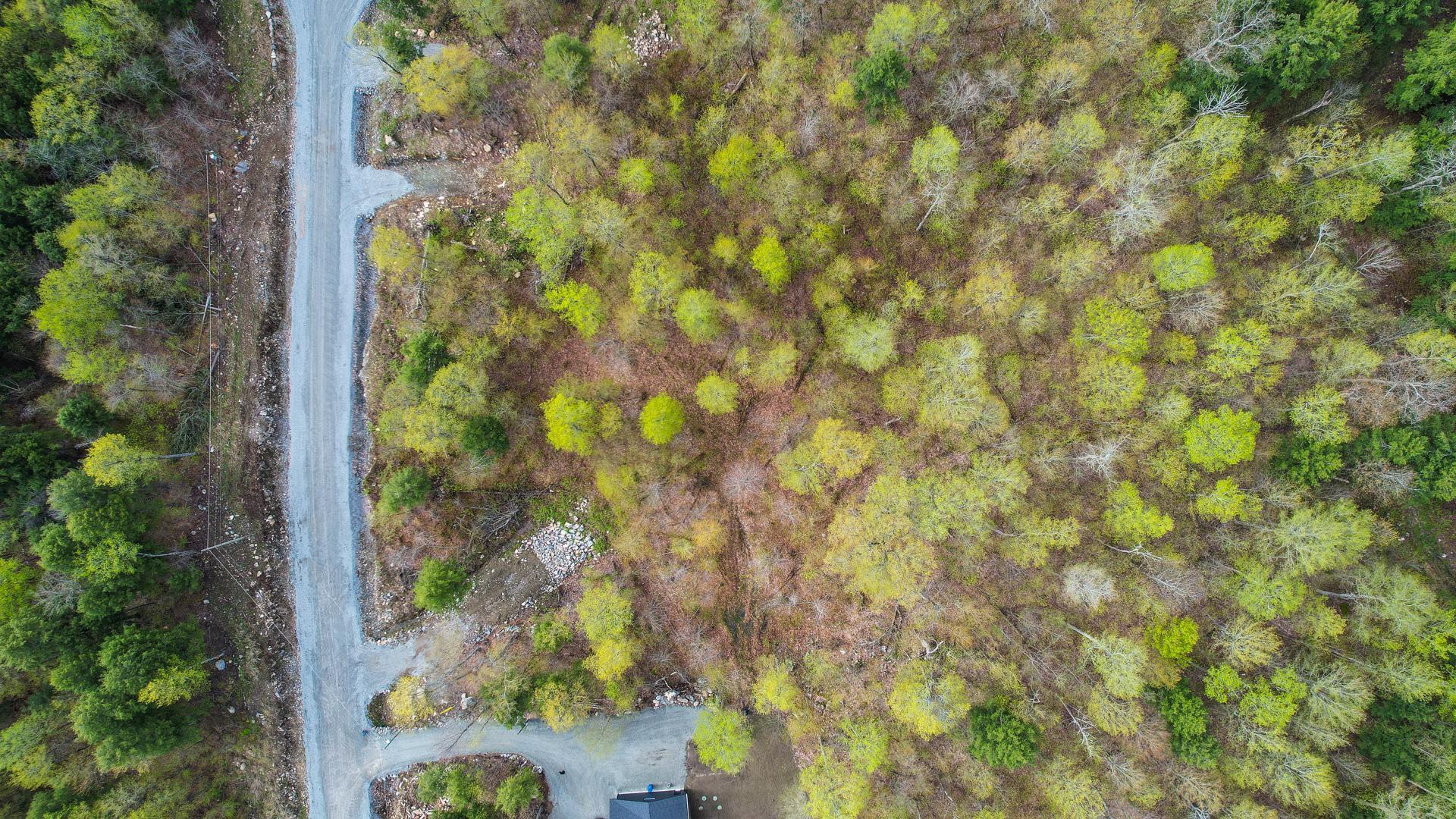 









40


Ch. de la Fresque

,
Val-des-Monts,







QC
J8N0C5

