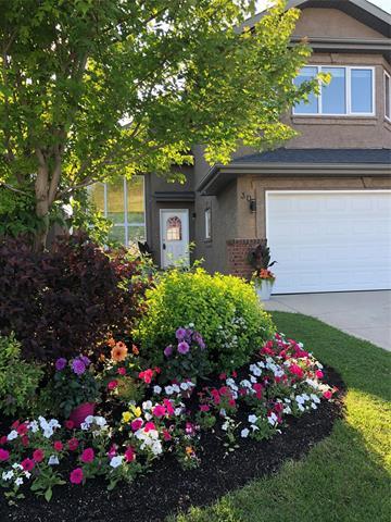 









30


Evelyne Reese

BLVD,
Winnipeg,




MB
R3X 2S9

