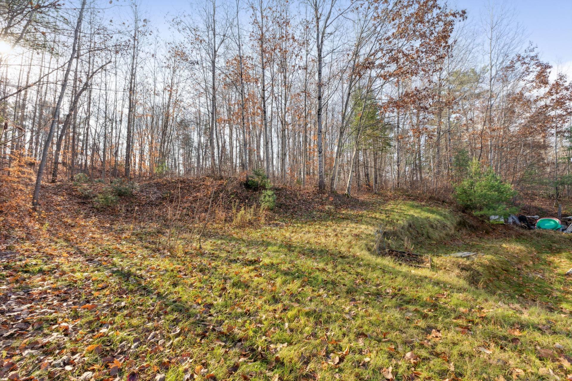 









982


Route 105

,
Gracefield,




QC
J0X1W0

