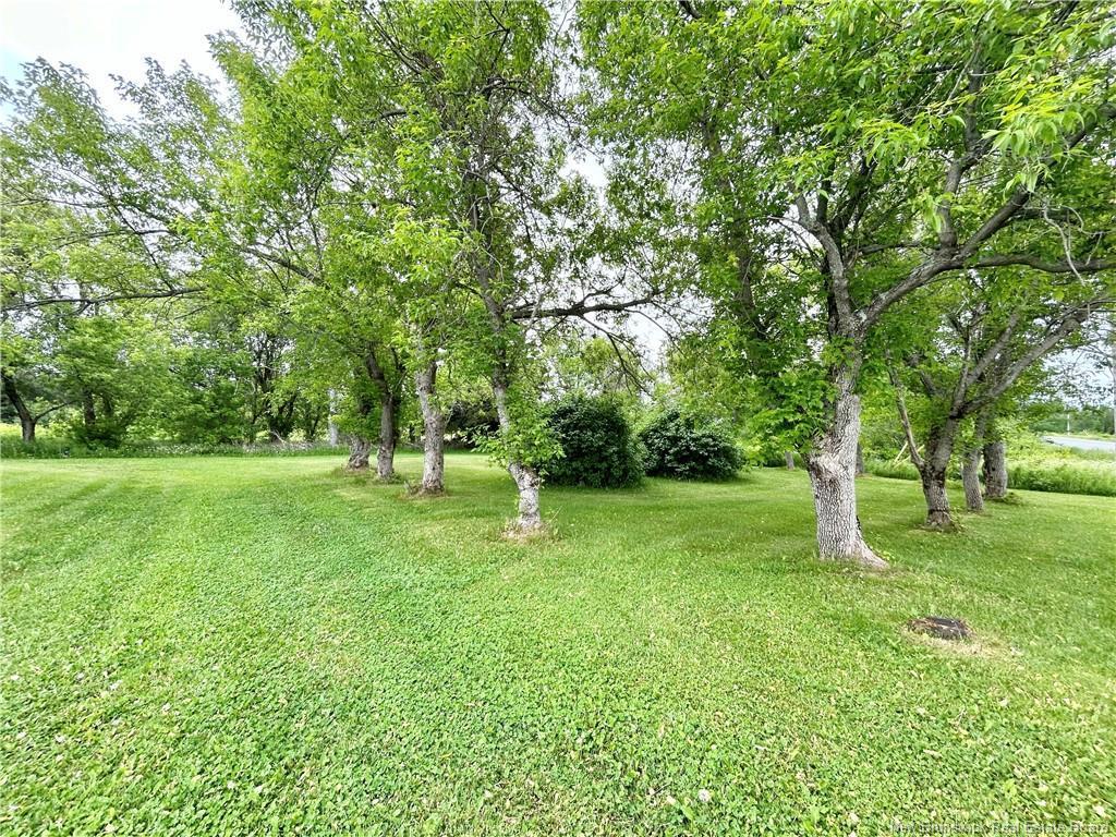 









456


Haut-St-Simon

,
Saint-Simon,




NB
E8P 1Y9

