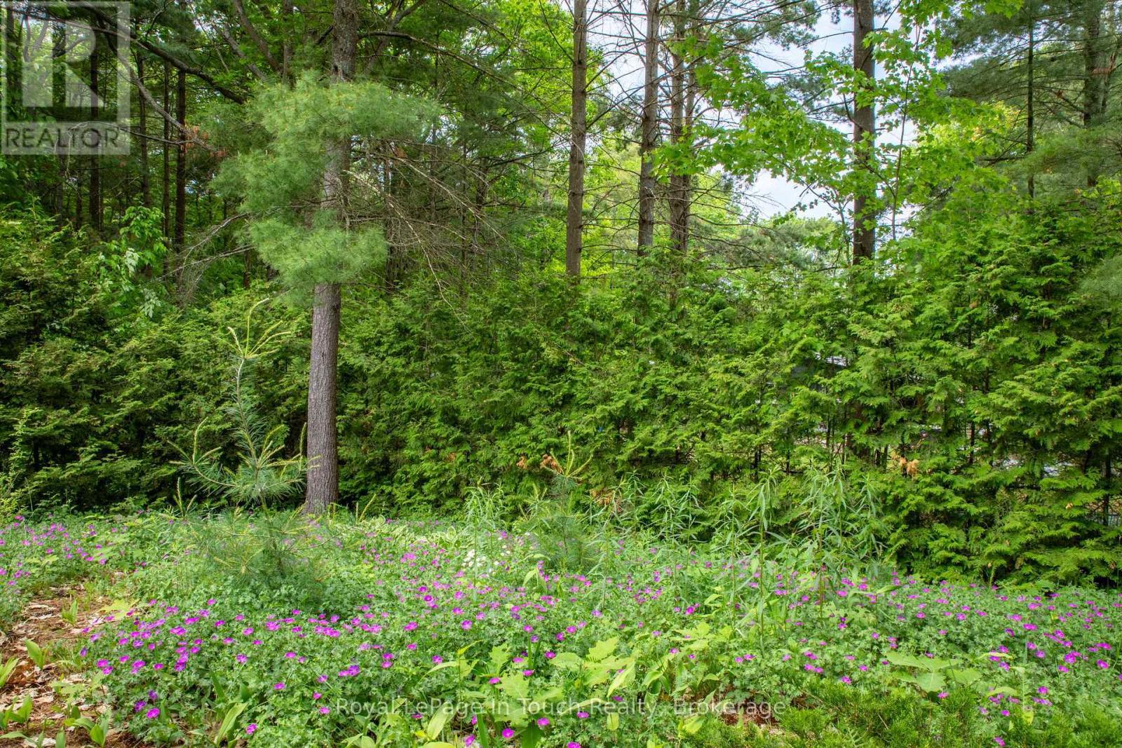 












62 TUCSON ROAD

,
Tiny,




Ontario
L9M0B6

