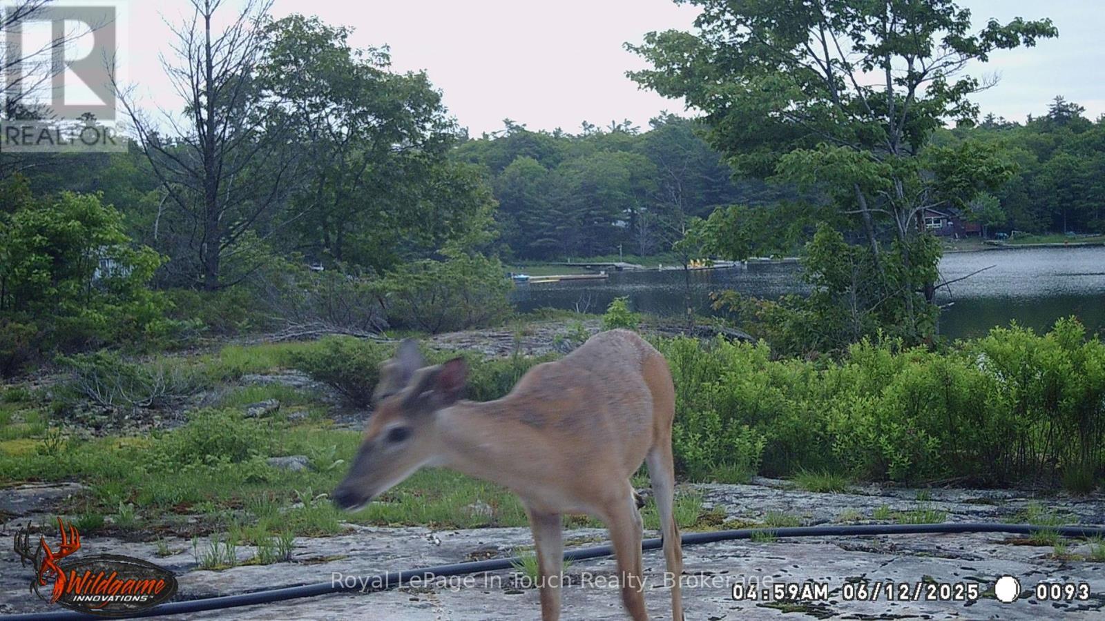












6980 ISLAND 1810

,
Georgian Bay (Gibson),




Ontario
P0E1E0

