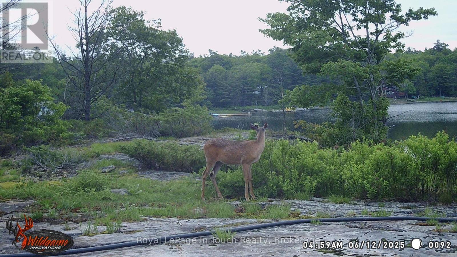 












6980 ISLAND 1810

,
Georgian Bay (Gibson),




Ontario
P0E1E0

