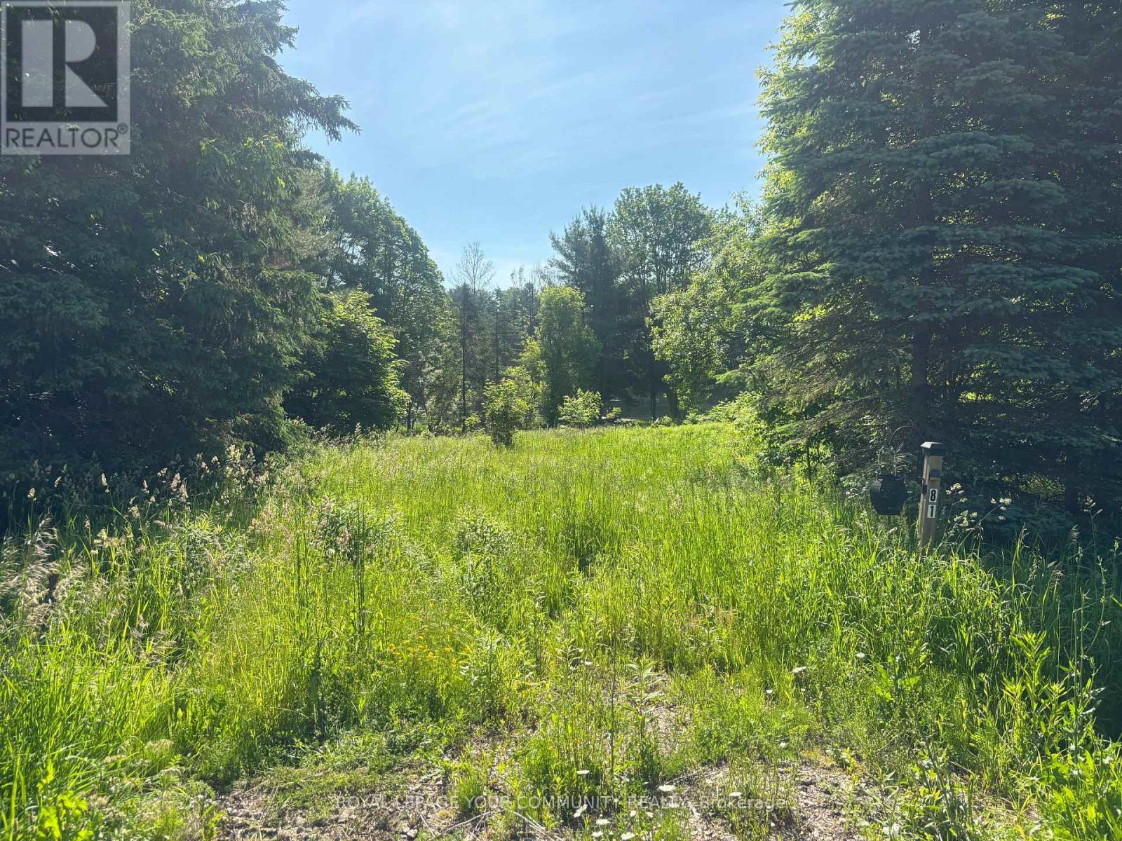 












81 STONEY ROAD

,
McKellar,







Ontario
P0G1G0

