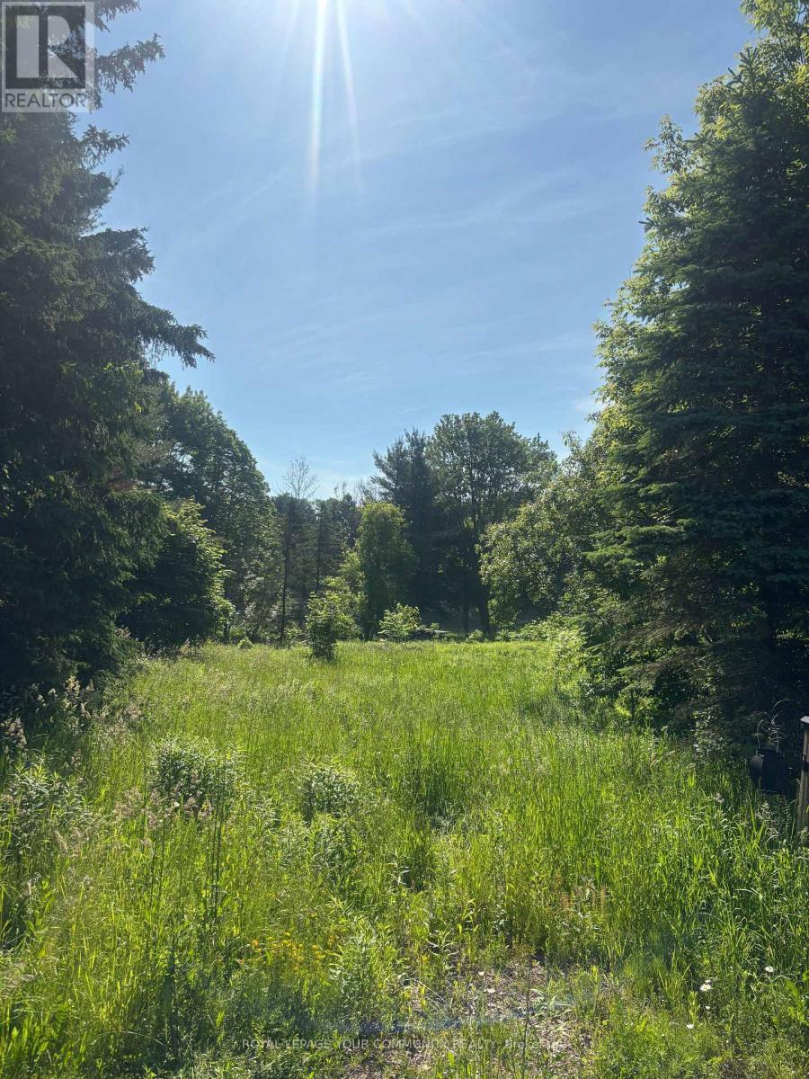 












81 STONEY ROAD

,
McKellar,







Ontario
P0G1G0

