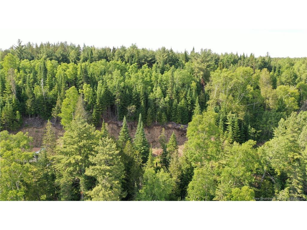 









614


Howard

RD,
Upper Blackville,







NB
E9B 2K6

