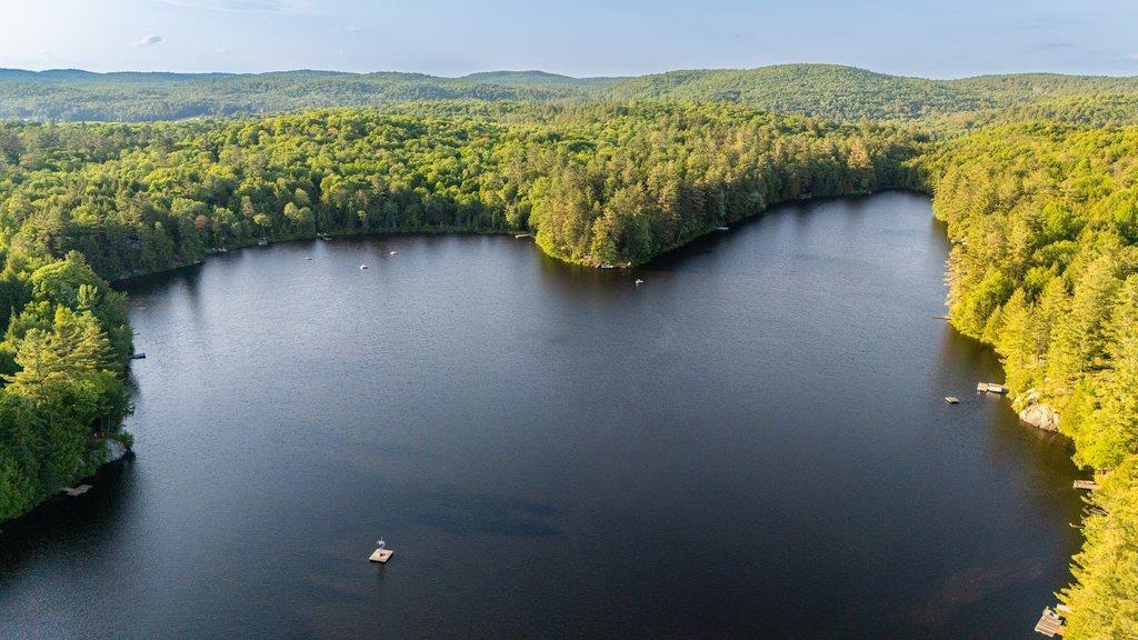 









5


Ch. du Lac-Jean-Venne

,
La Pêche,




QC
J0X1A0

