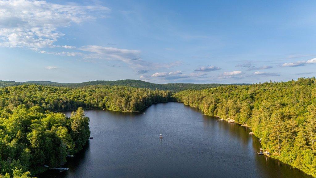 









5


Ch. du Lac-Jean-Venne

,
La Pêche,




QC
J0X1A0

