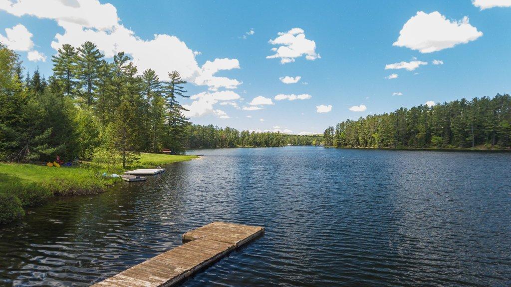 









7


Ch. Reddington

,
Otter Lake,




QC
J0X2P0

