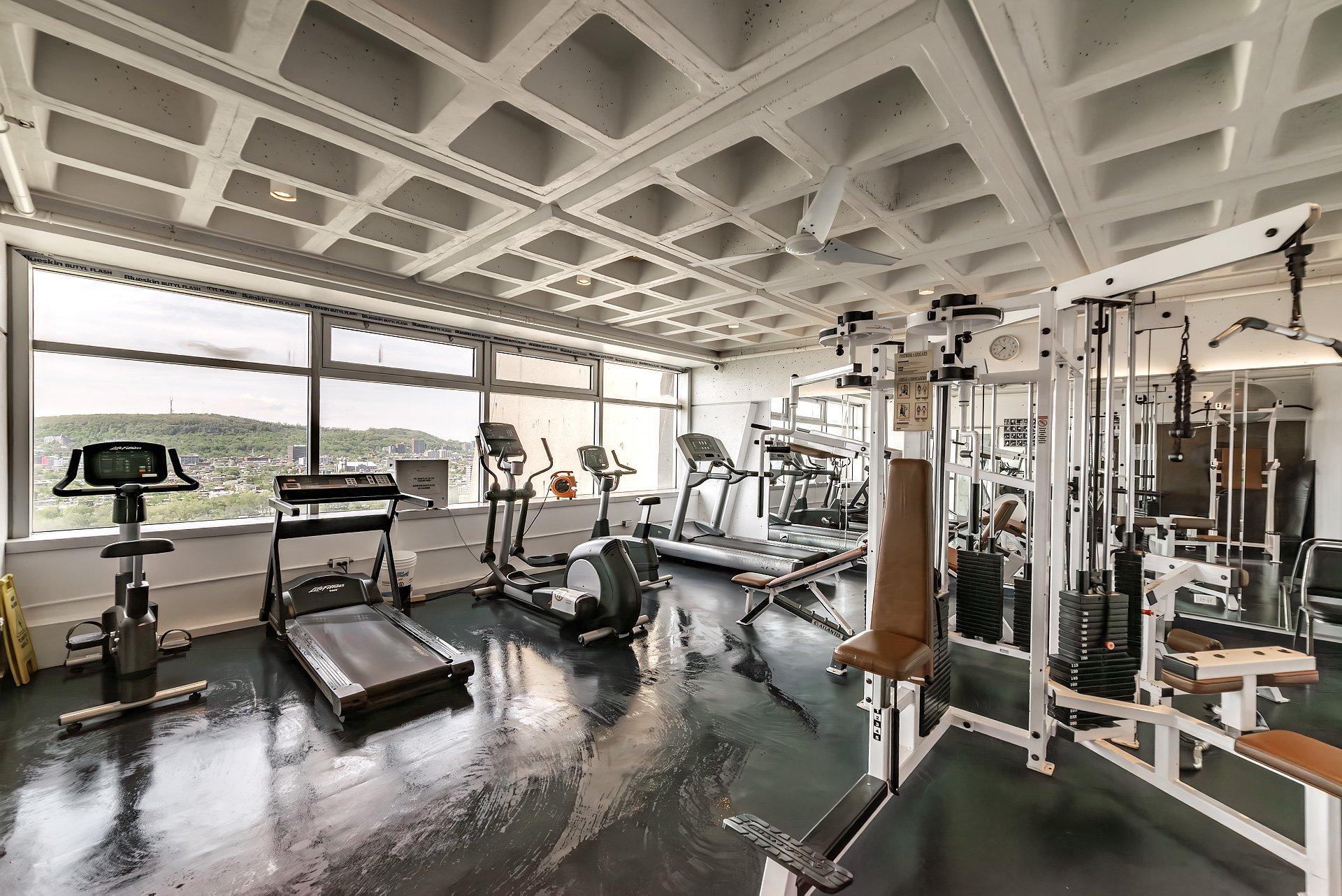 









3535


Av. Papineau

, 714,
Montréal (Le Plateau-Mont-Royal),




QC
H2K4J9

