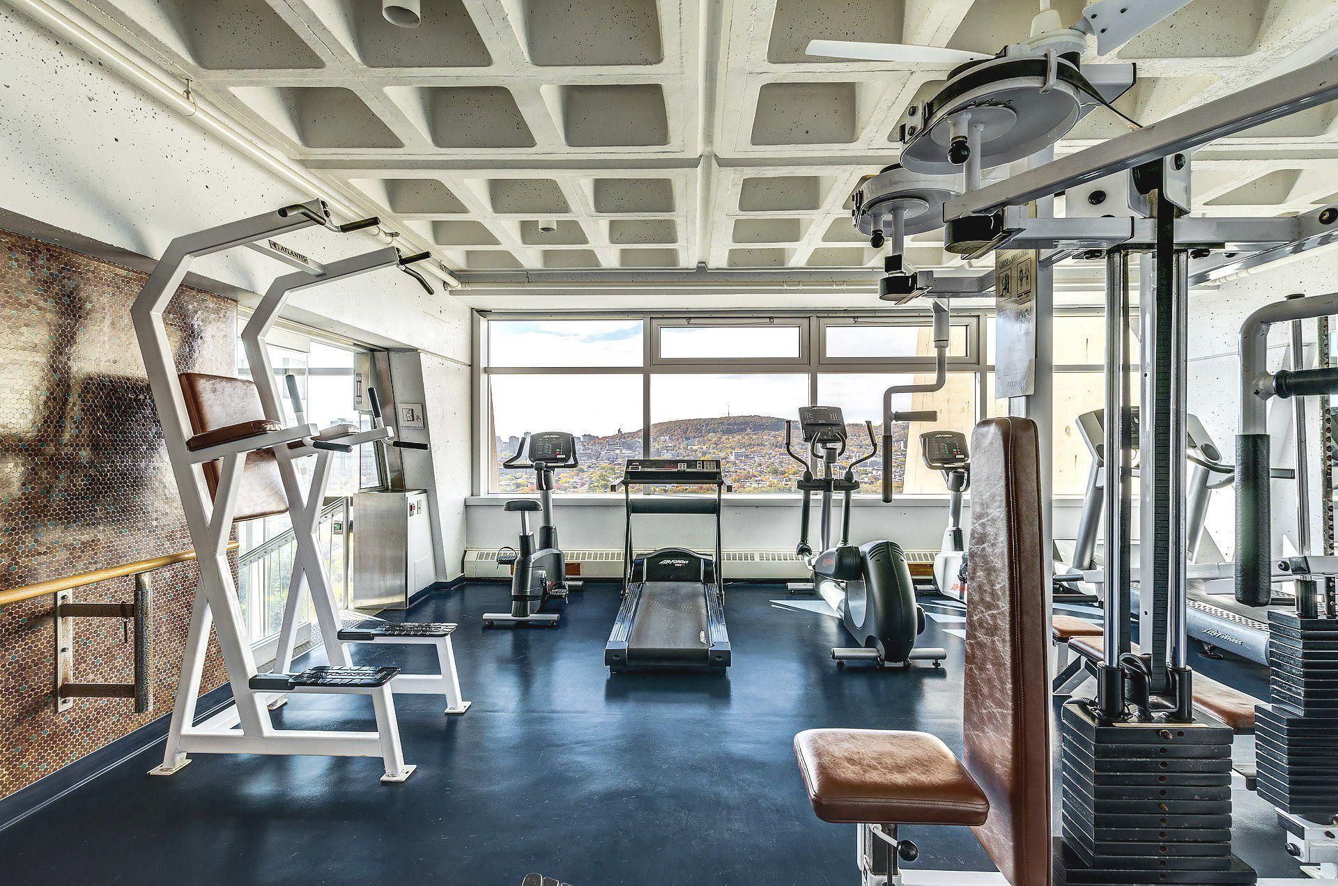 









3535


Av. Papineau

, 714,
Montréal (Le Plateau-Mont-Royal),




QC
H2K4J9

