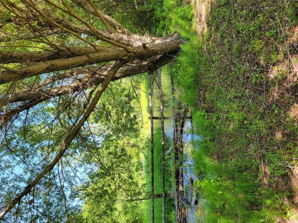 









3053


Wardner Fort Steele

Road,
Fort Steele,




BC
V0B 1N0

