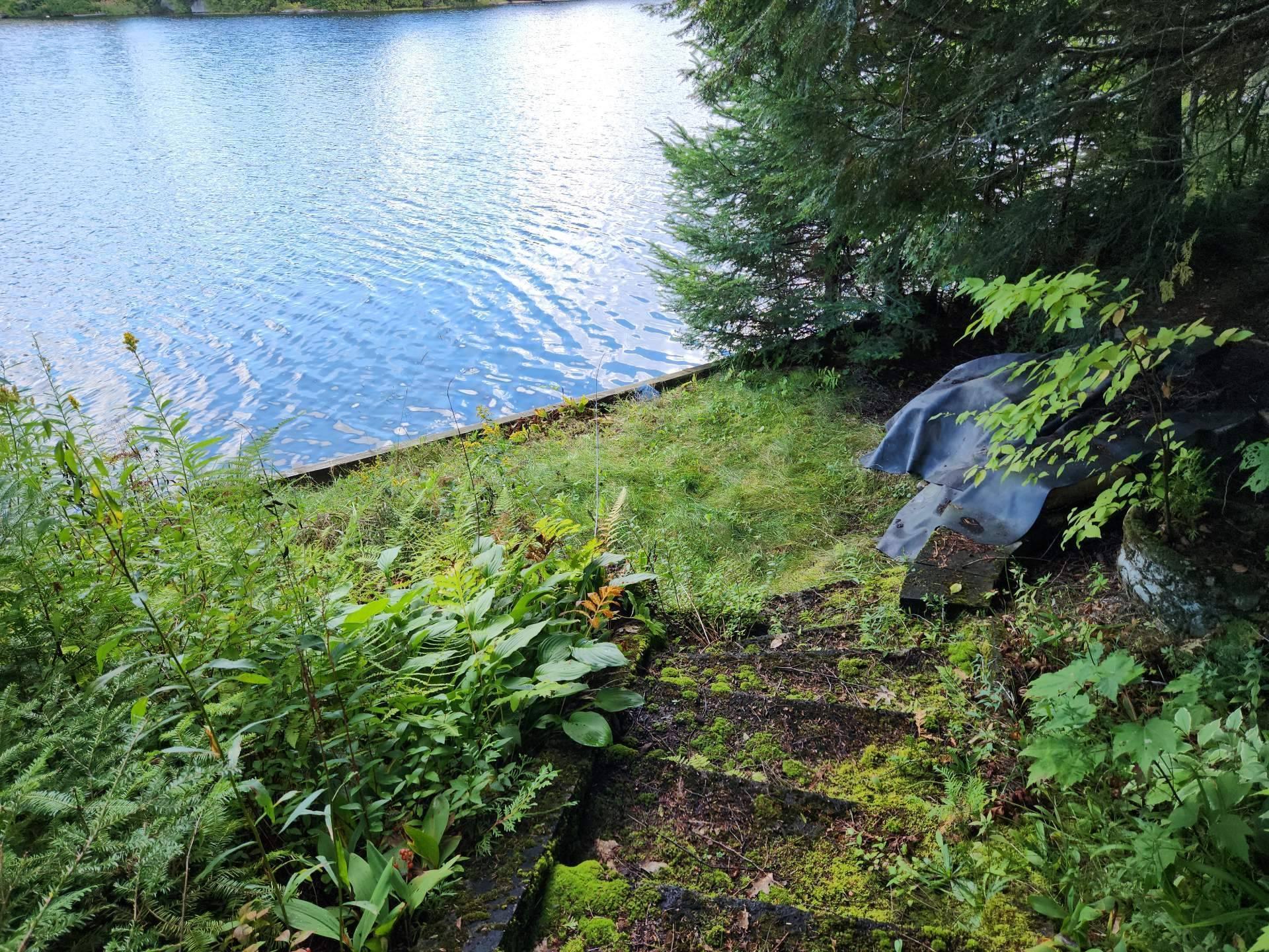 









920


Ch. du Lac-Winnetou

,
Amherst,




QC
J0T2T0

