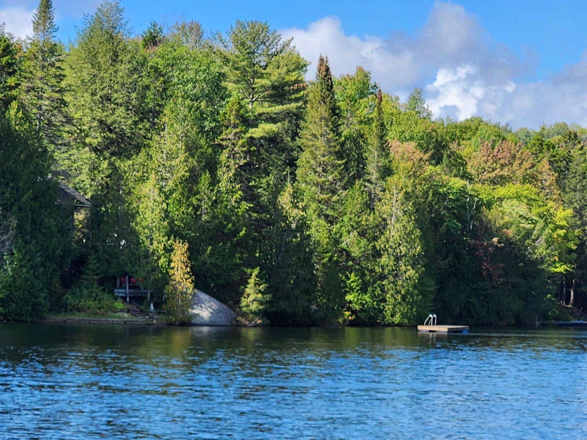 









920


Ch. du Lac-Winnetou

,
Amherst,




QC
J0T2T0


