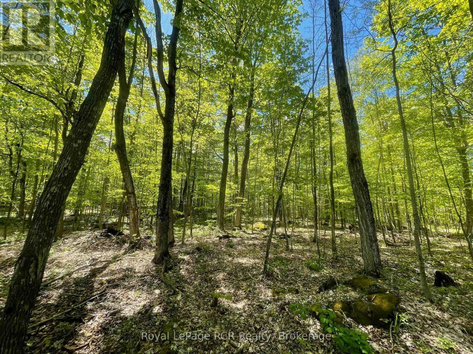 












N/A SUNNY VALLEY ROAD

,
Meaford,







Ontario
N4K5N8

