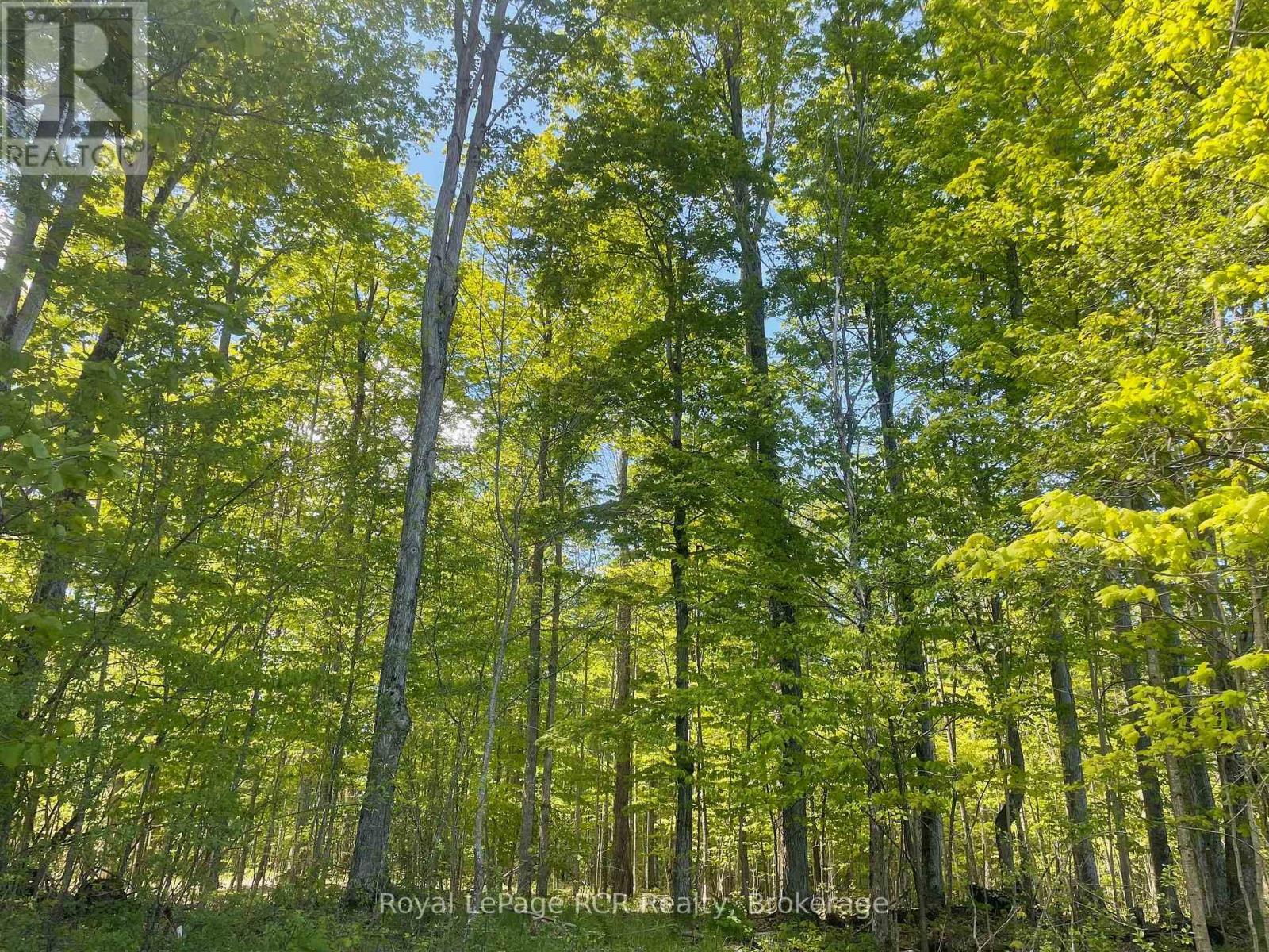 












N/A SUNNY VALLEY ROAD

,
Meaford,







Ontario
N4K5N8

