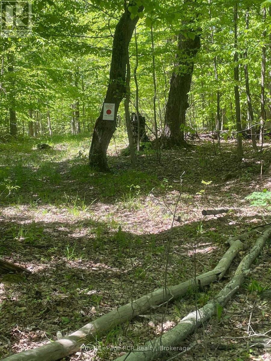 












N/A SUNNY VALLEY ROAD

,
Meaford,







Ontario
N4K5N8

