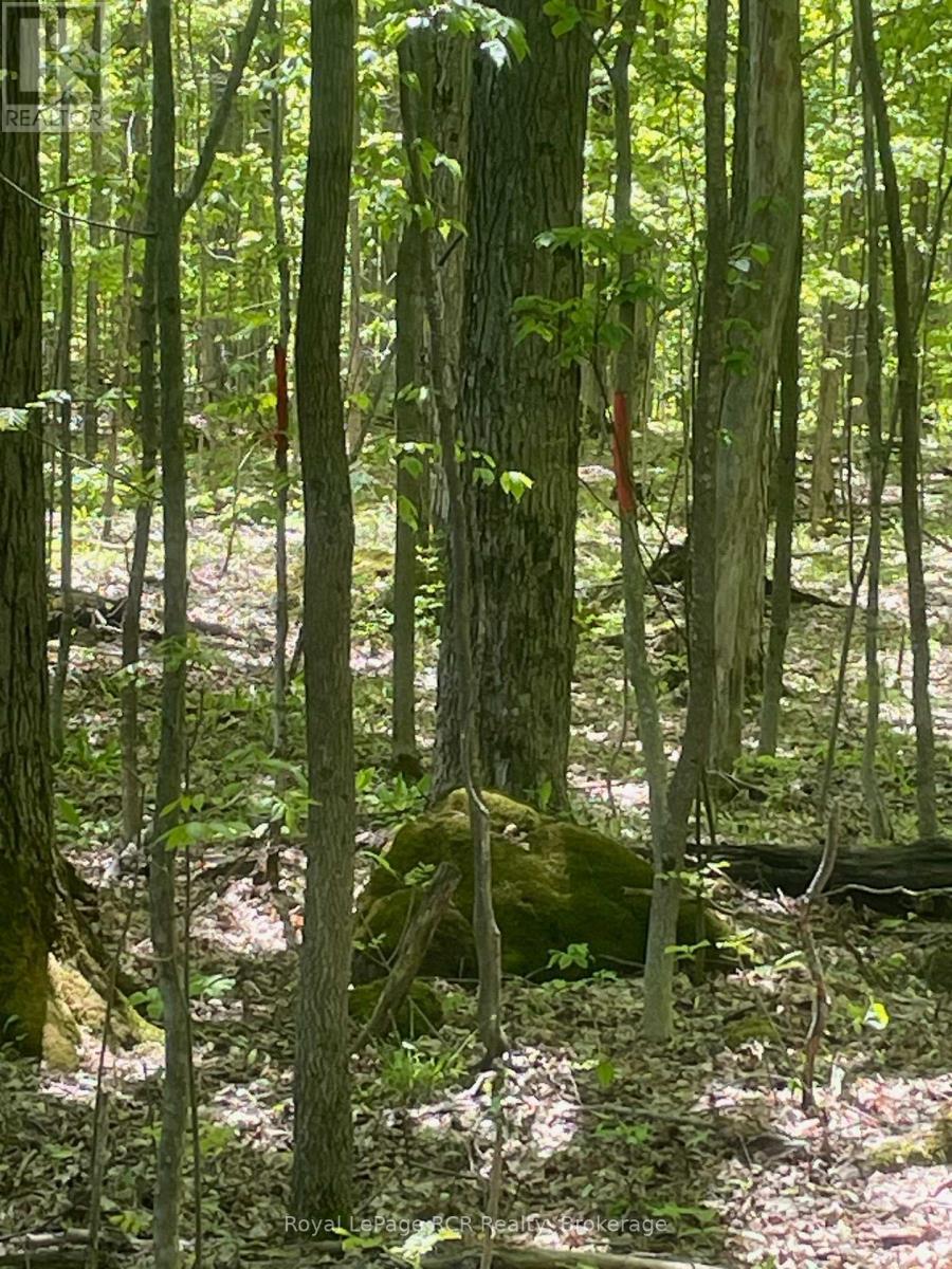 












N/A SUNNY VALLEY ROAD

,
Meaford,







Ontario
N4K5N8

