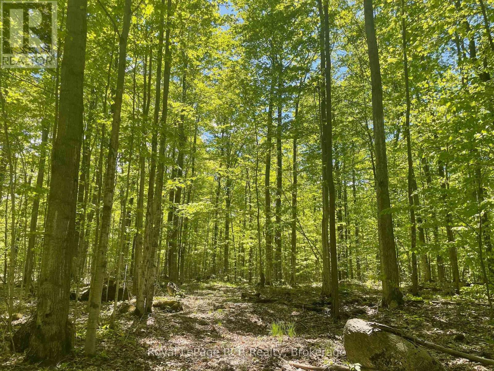 












N/A SUNNY VALLEY ROAD

,
Meaford,







Ontario
N4K5N8

