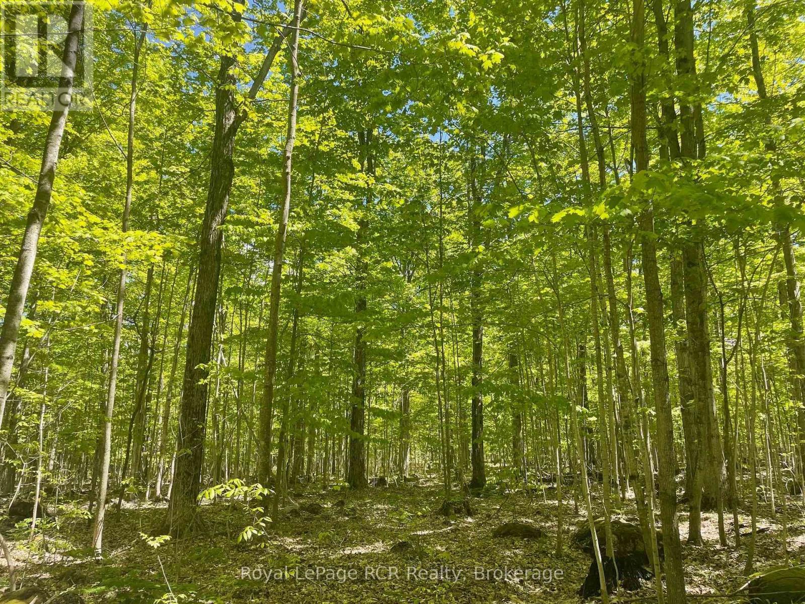 












N/A SUNNY VALLEY ROAD

,
Meaford,







Ontario
N4K5N8

