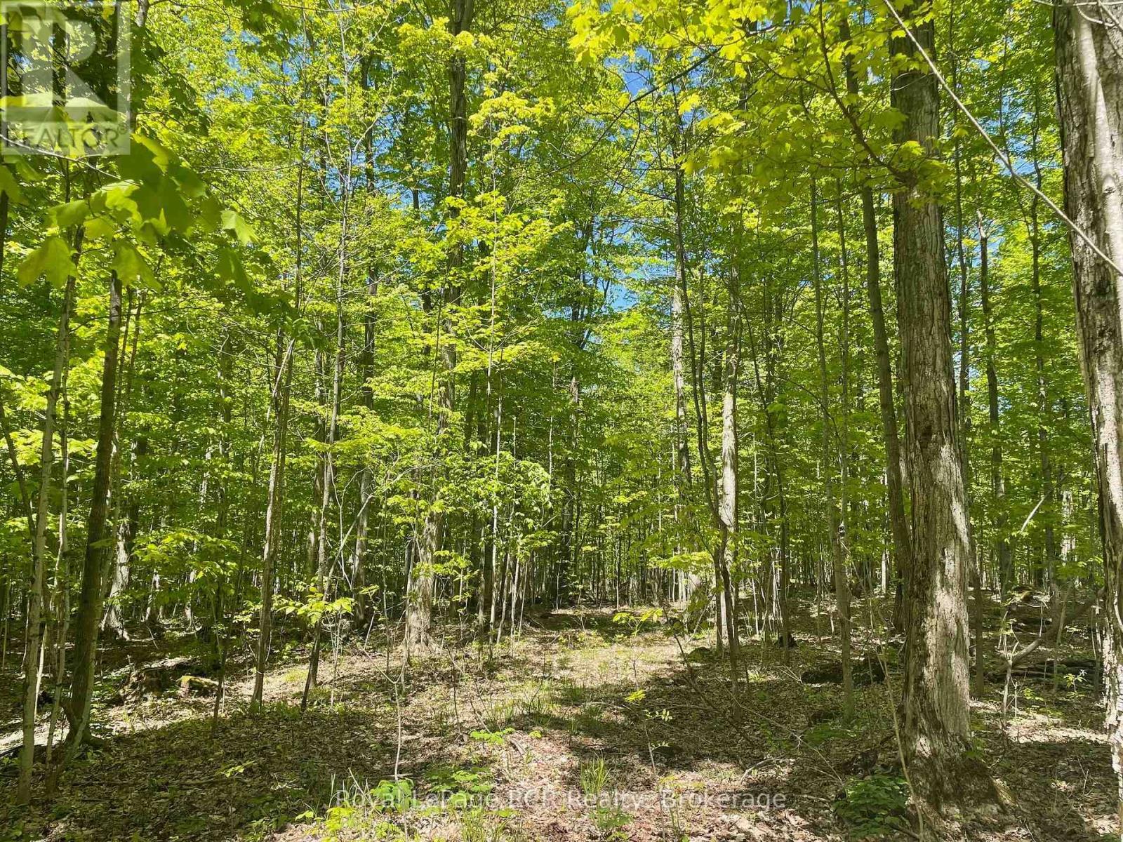 












N/A SUNNY VALLEY ROAD

,
Meaford,







Ontario
N4K5N8


