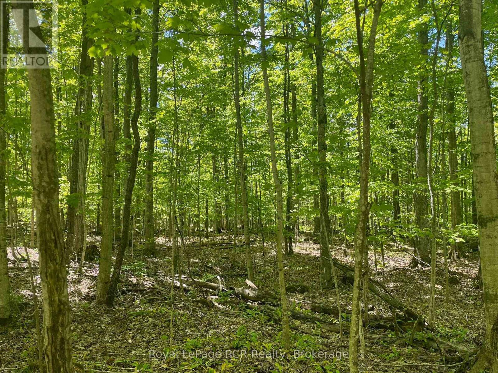 












N/A SUNNY VALLEY ROAD

,
Meaford,







Ontario
N4K5N8

