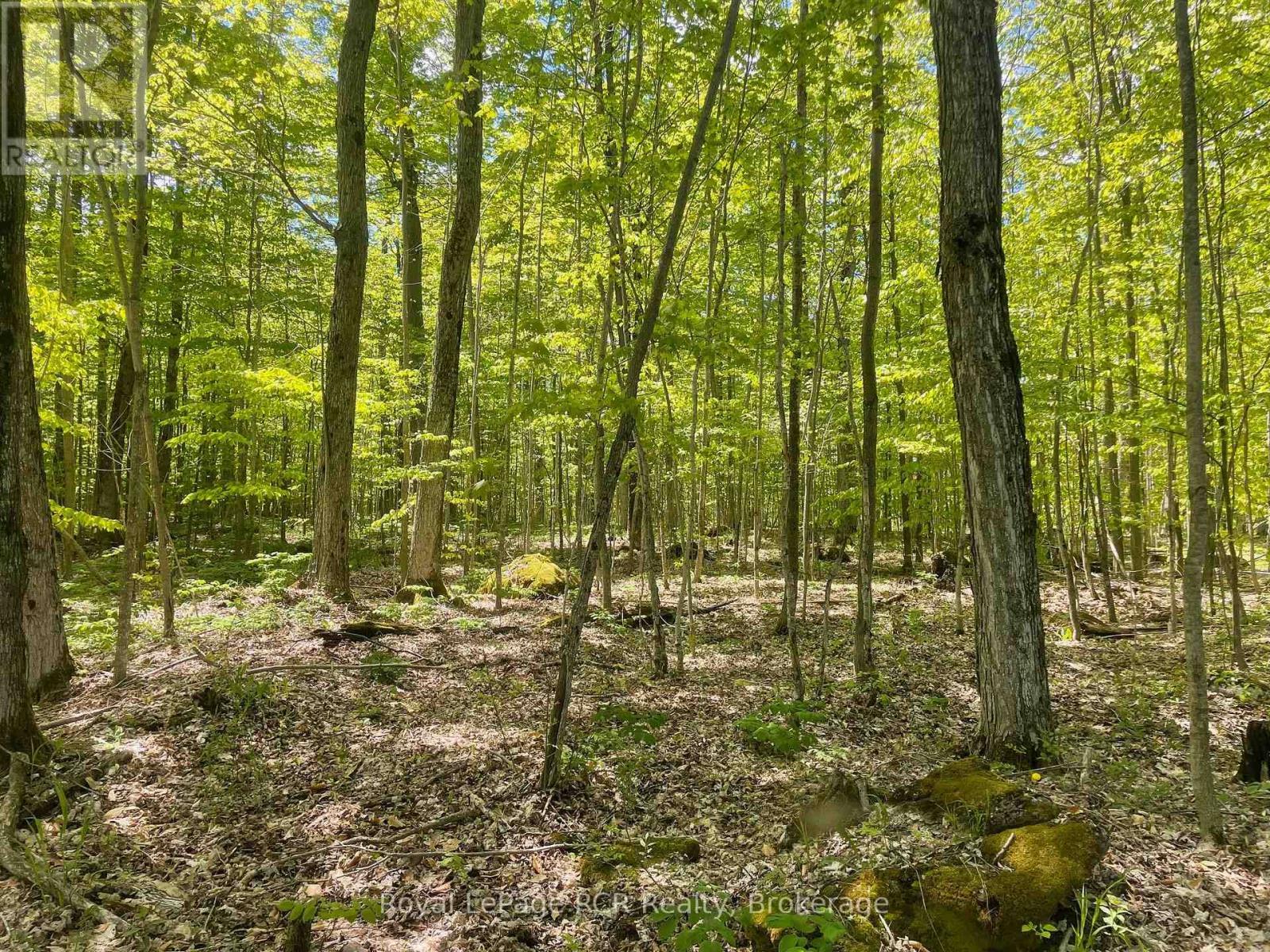 












N/A SUNNY VALLEY ROAD

,
Meaford,







Ontario
N4K5N8

