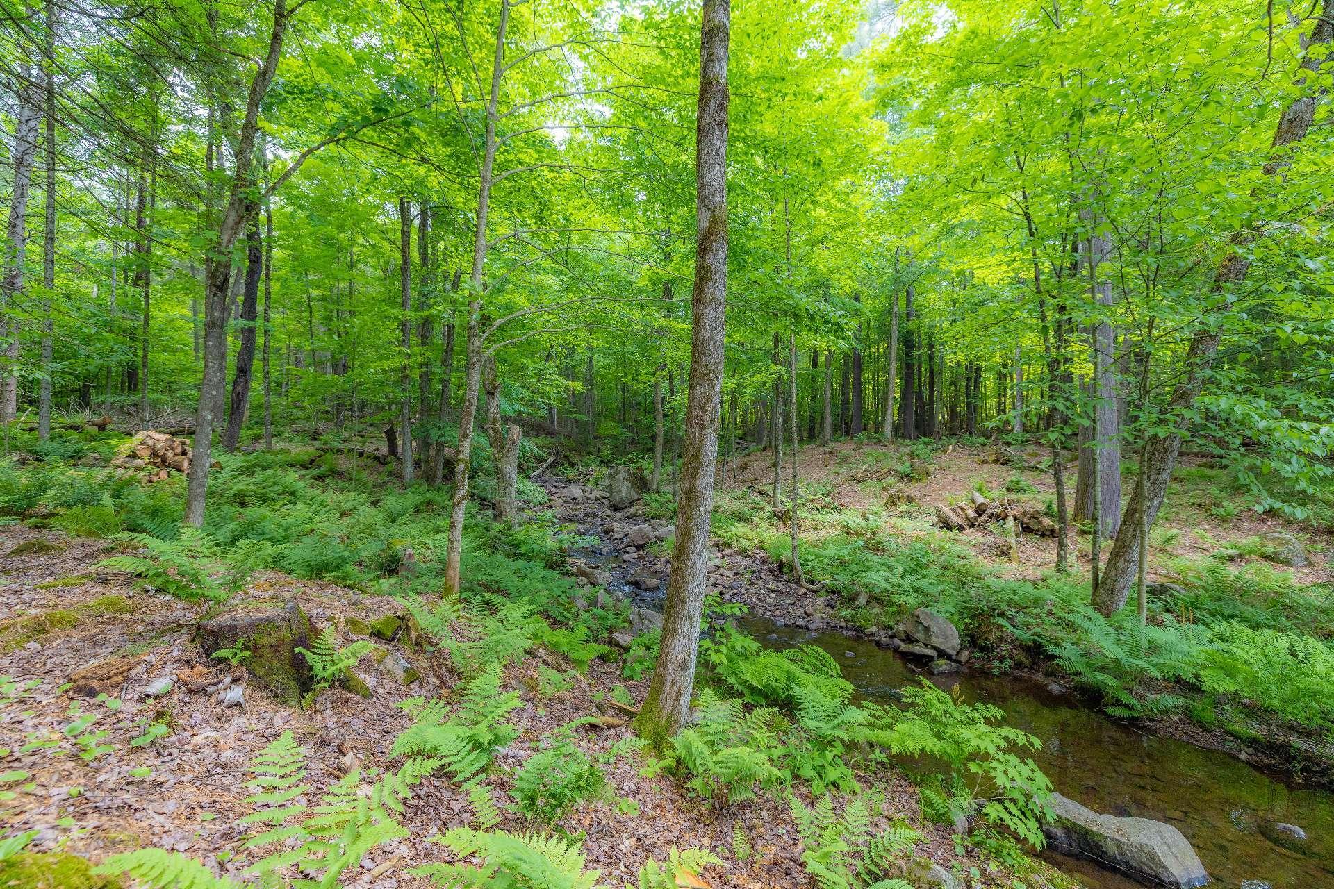 









6


Ch. du Lac-Reardon

,
Brownsburg-Chatham,




QC
J8G2J4

