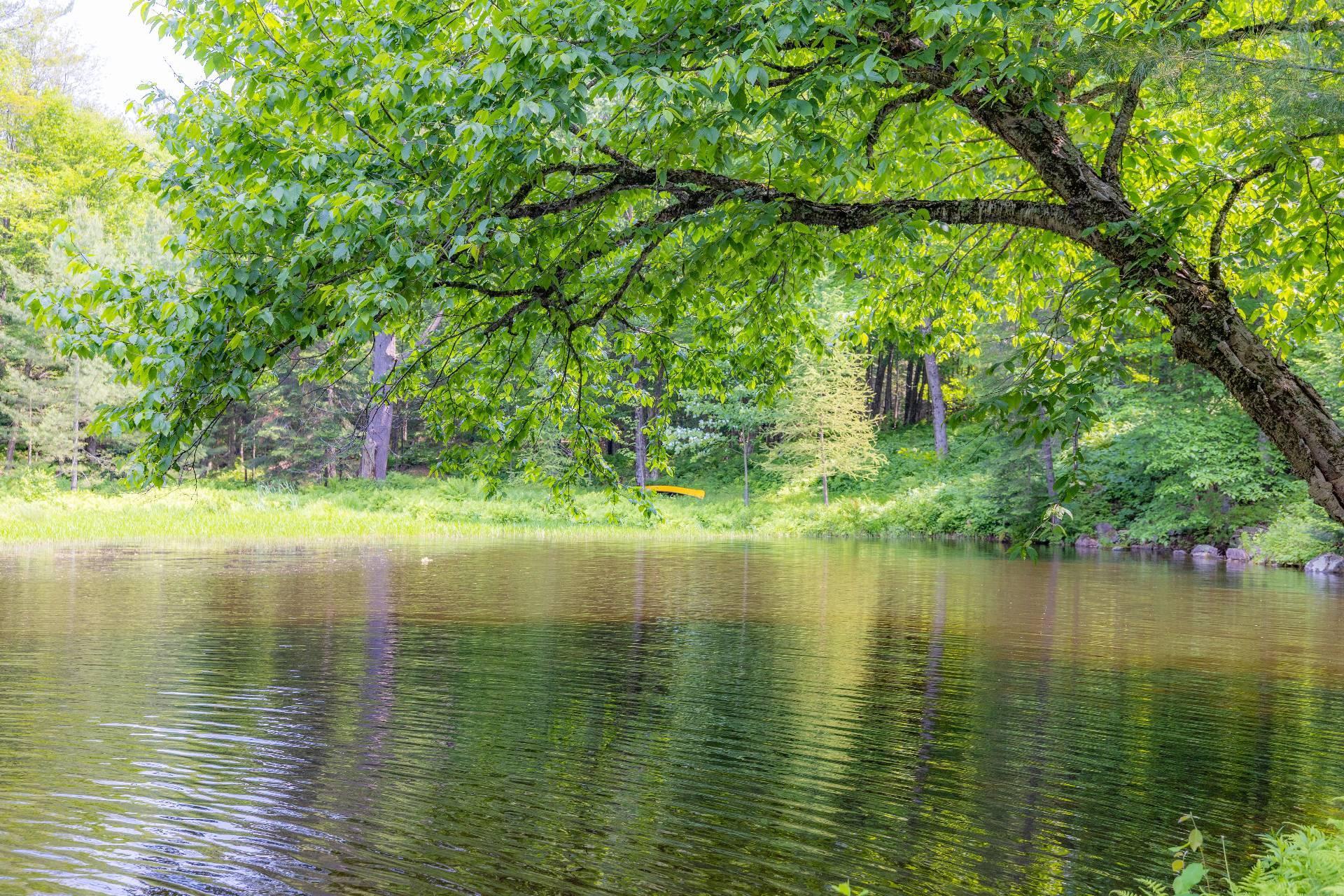 









6


Ch. du Lac-Reardon

,
Brownsburg-Chatham,




QC
J8G2J4

