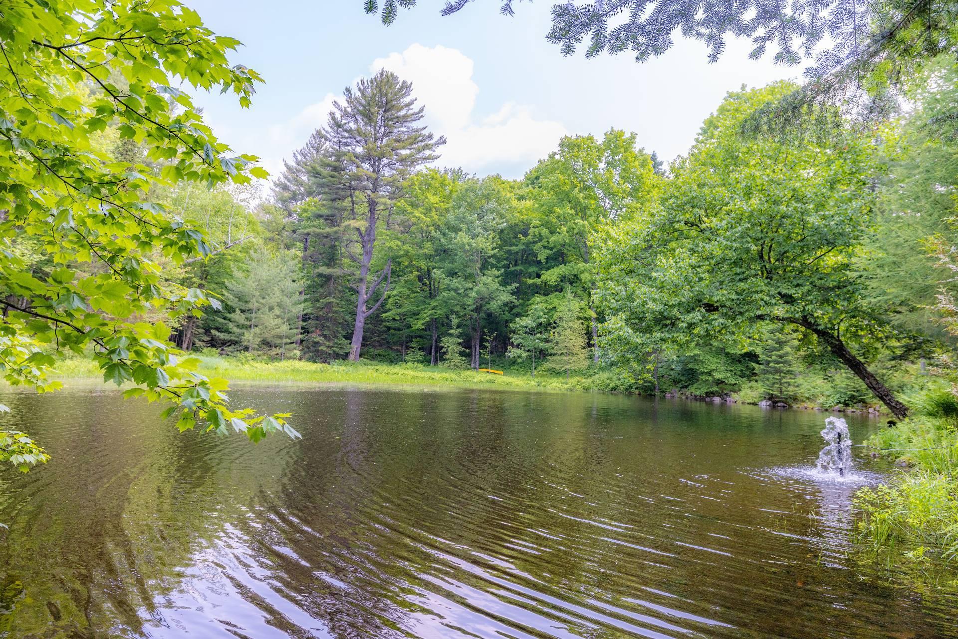









6


Ch. du Lac-Reardon

,
Brownsburg-Chatham,




QC
J8G2J4

