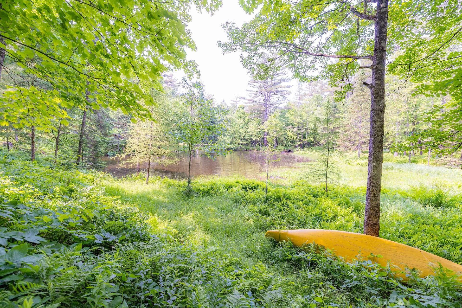 









6


Ch. du Lac-Reardon

,
Brownsburg-Chatham,




QC
J8G2J4

