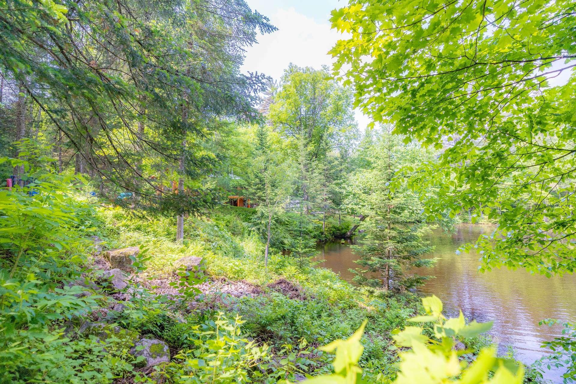 









6


Ch. du Lac-Reardon

,
Brownsburg-Chatham,




QC
J8G2J4

