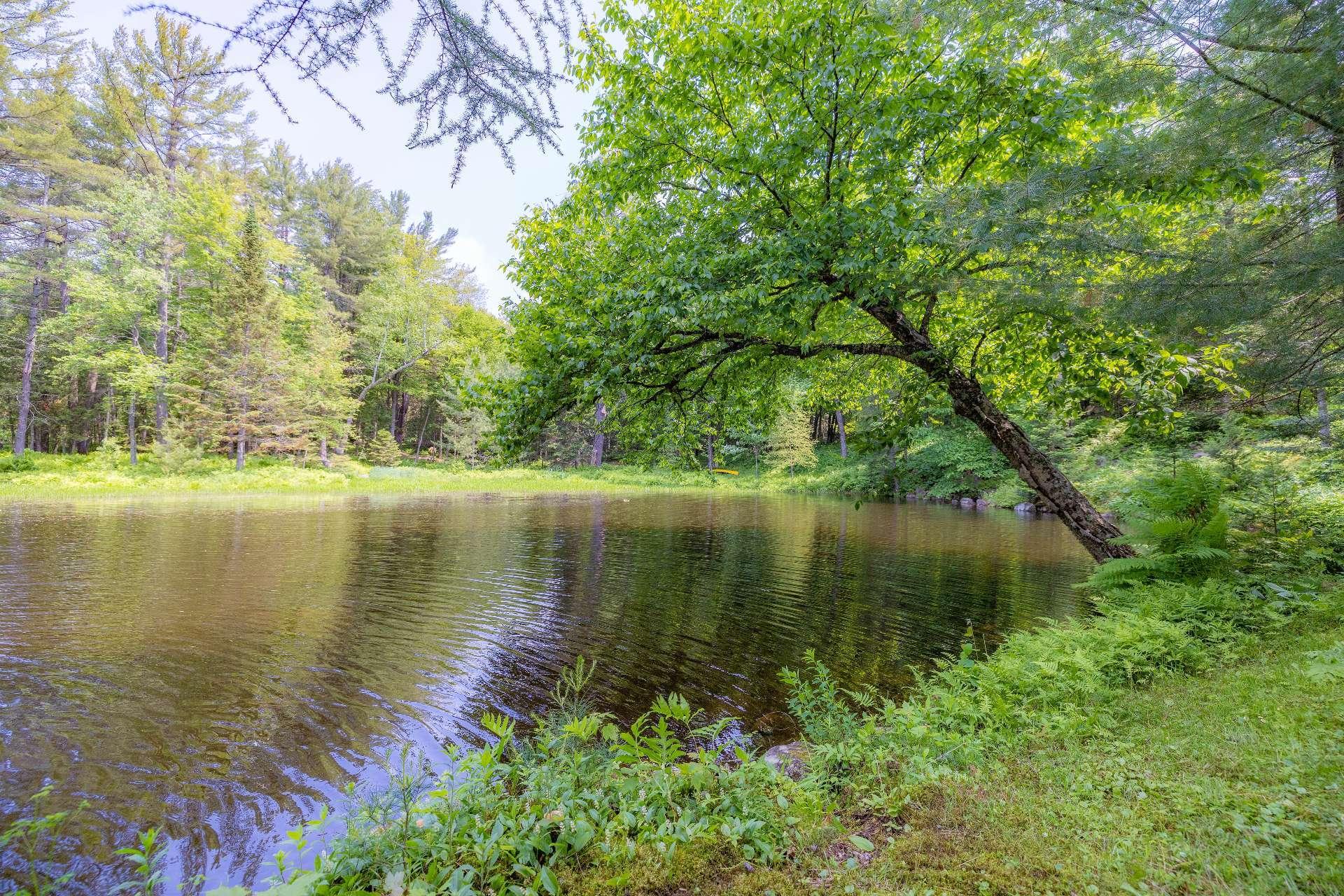 









6


Ch. du Lac-Reardon

,
Brownsburg-Chatham,




QC
J8G2J4

