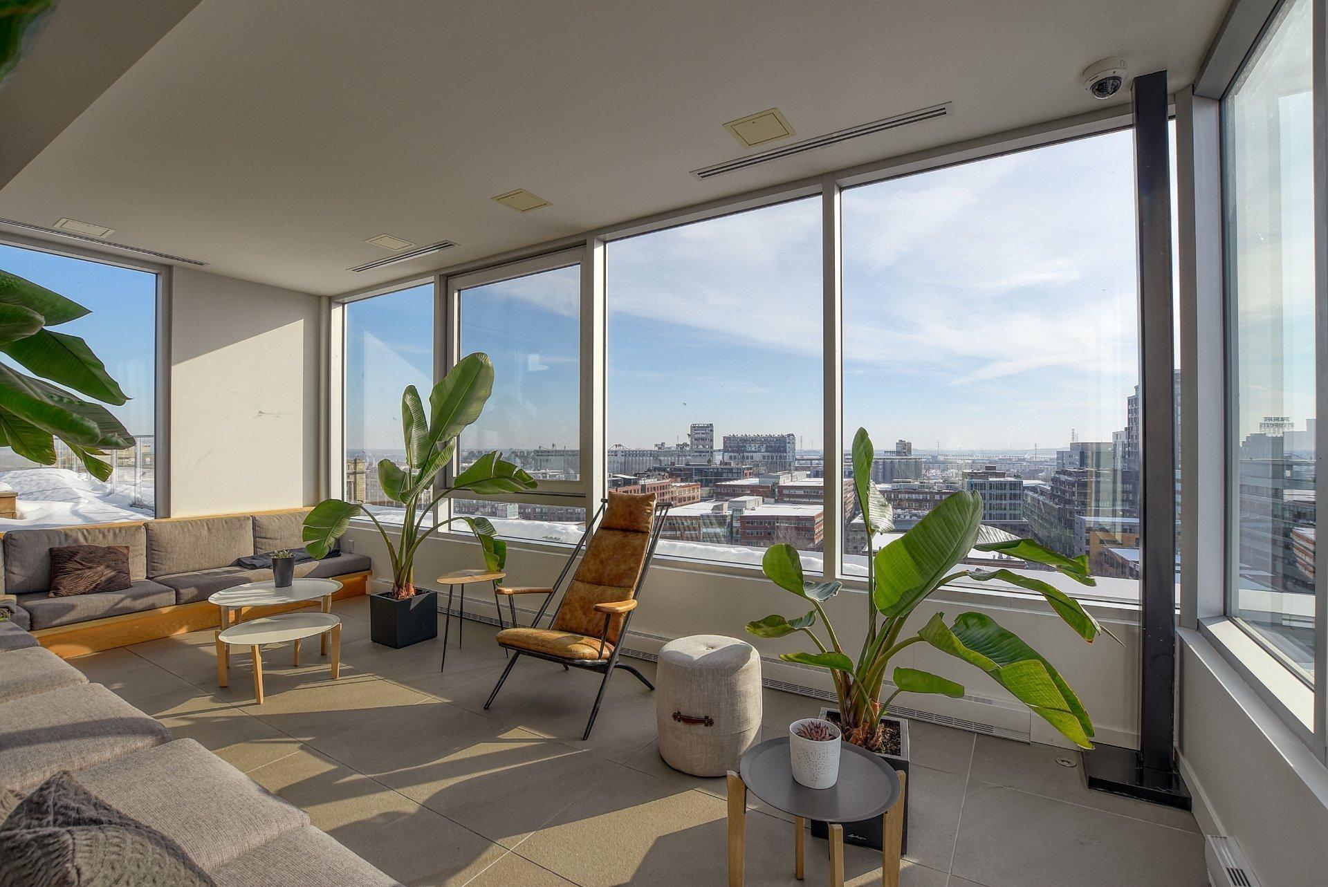 









738


Rue St-Paul O.

, 631,
Montréal (Ville-Marie),




QC
H3C0N5

