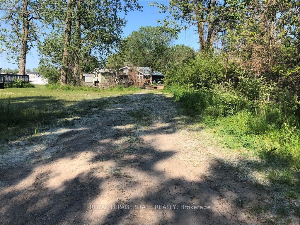 









23


Old Cut

Boulevard,
Norfolk,







ON
N0E 1M0

