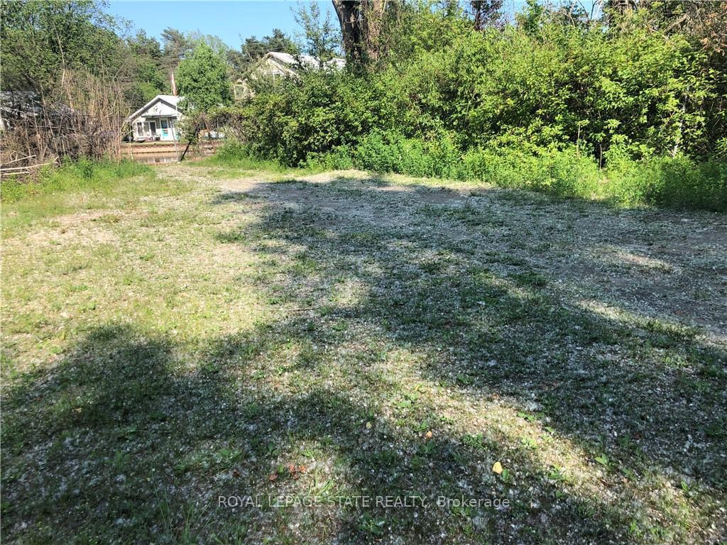 









23


Old Cut

Boulevard,
Norfolk,







ON
N0E 1M0

