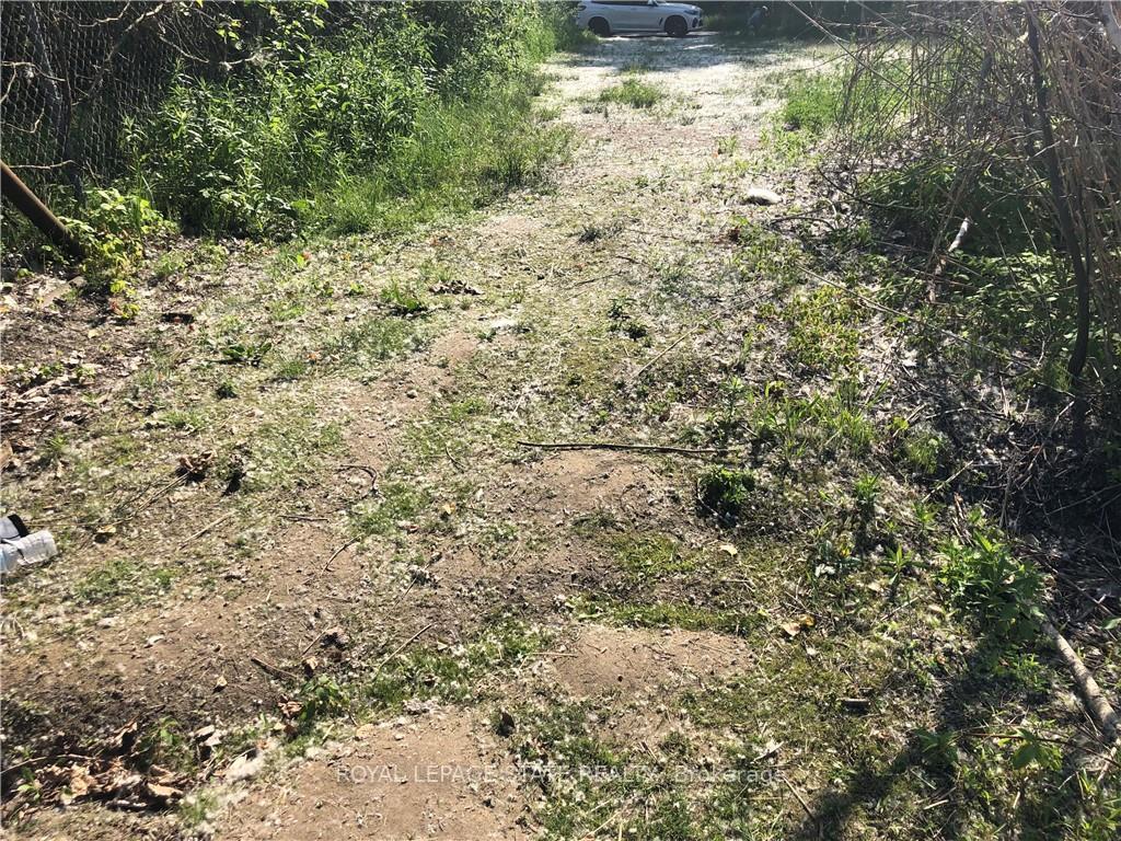 









23


Old Cut

Boulevard,
Norfolk,







ON
N0E 1M0

