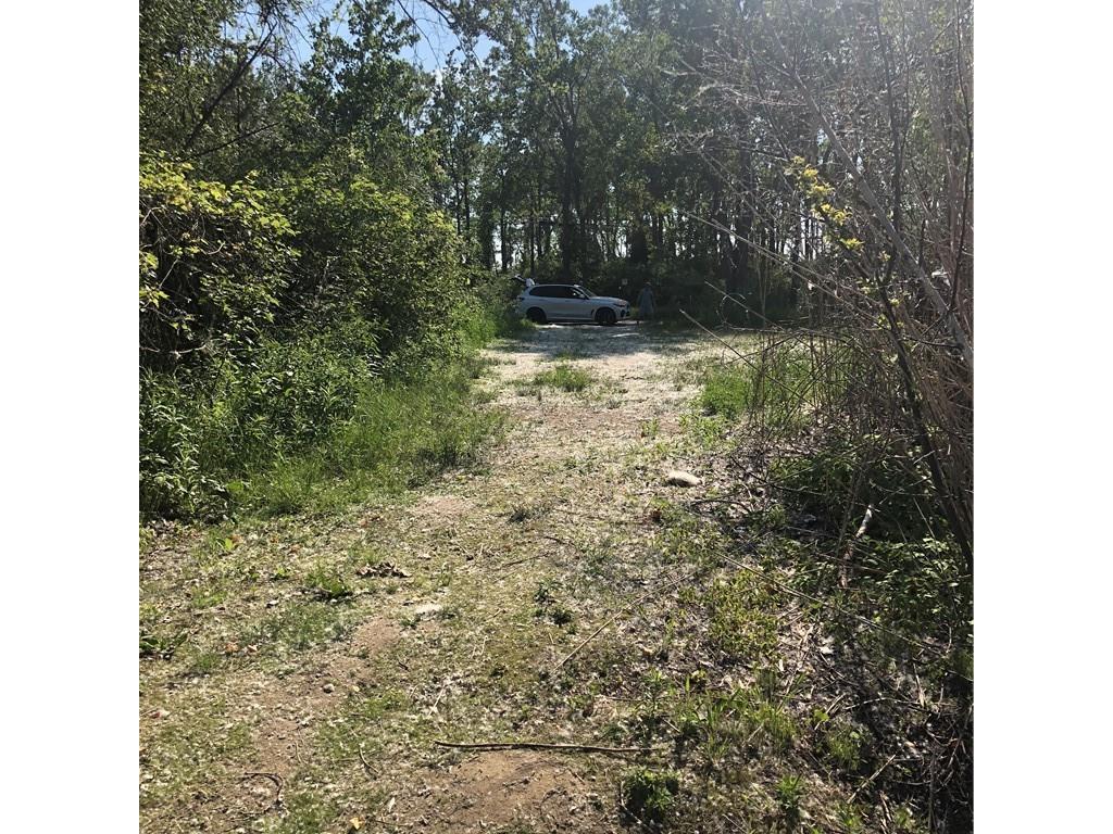 









23


Old Cut

Boulevard,
Norfolk,







ON
N0E 1M0

