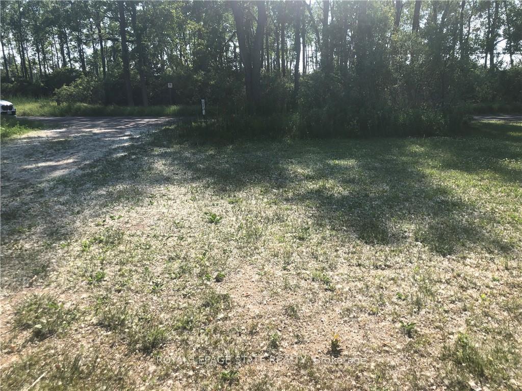 









23


Old Cut

Boulevard,
Norfolk,







ON
N0E 1M0

