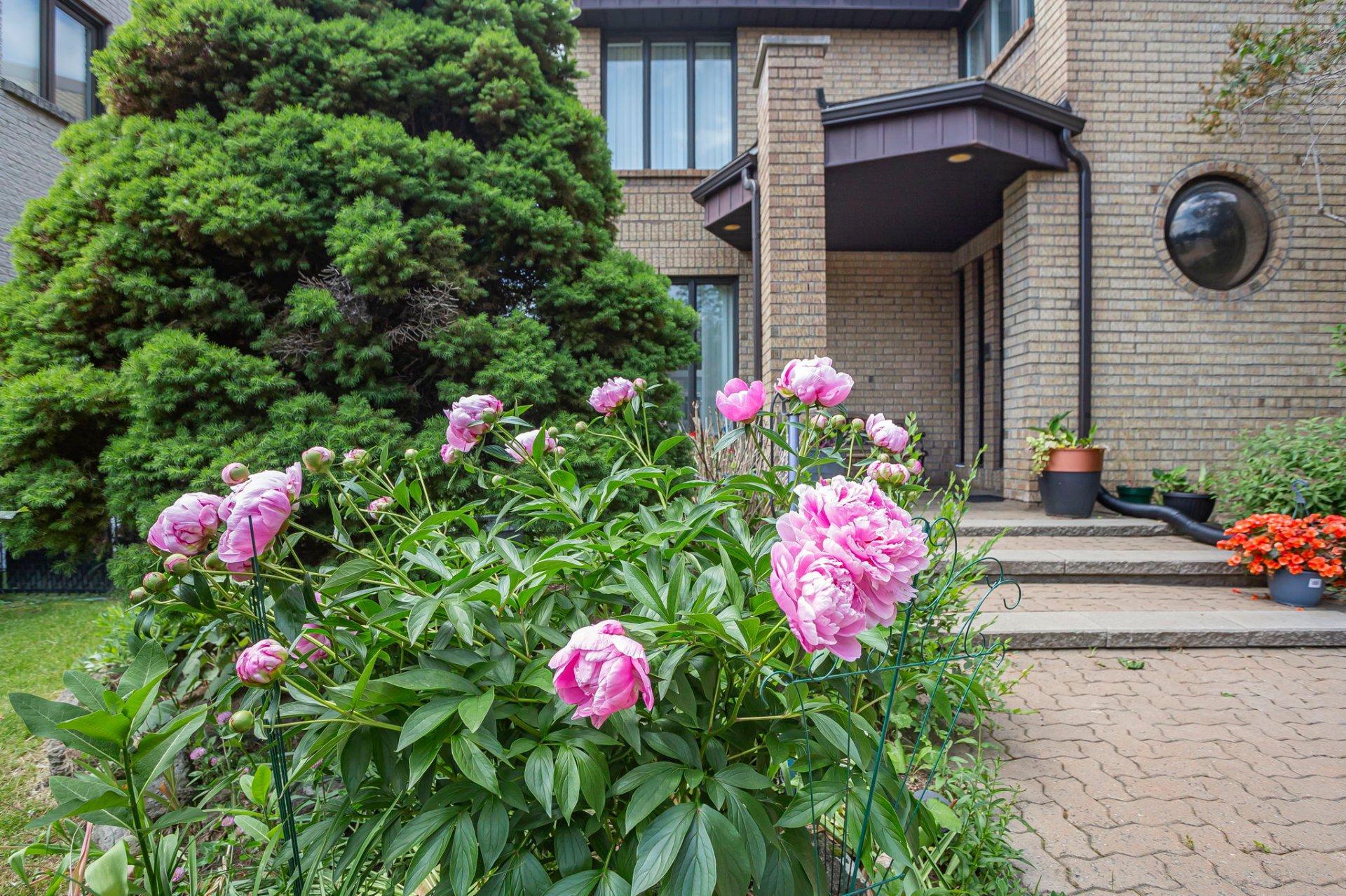 









1232


Rue Tecumseh

,
Dollard-des-Ormeaux,




QC
H9B2Y8

