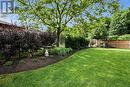 Wrought Iron rear view gardens