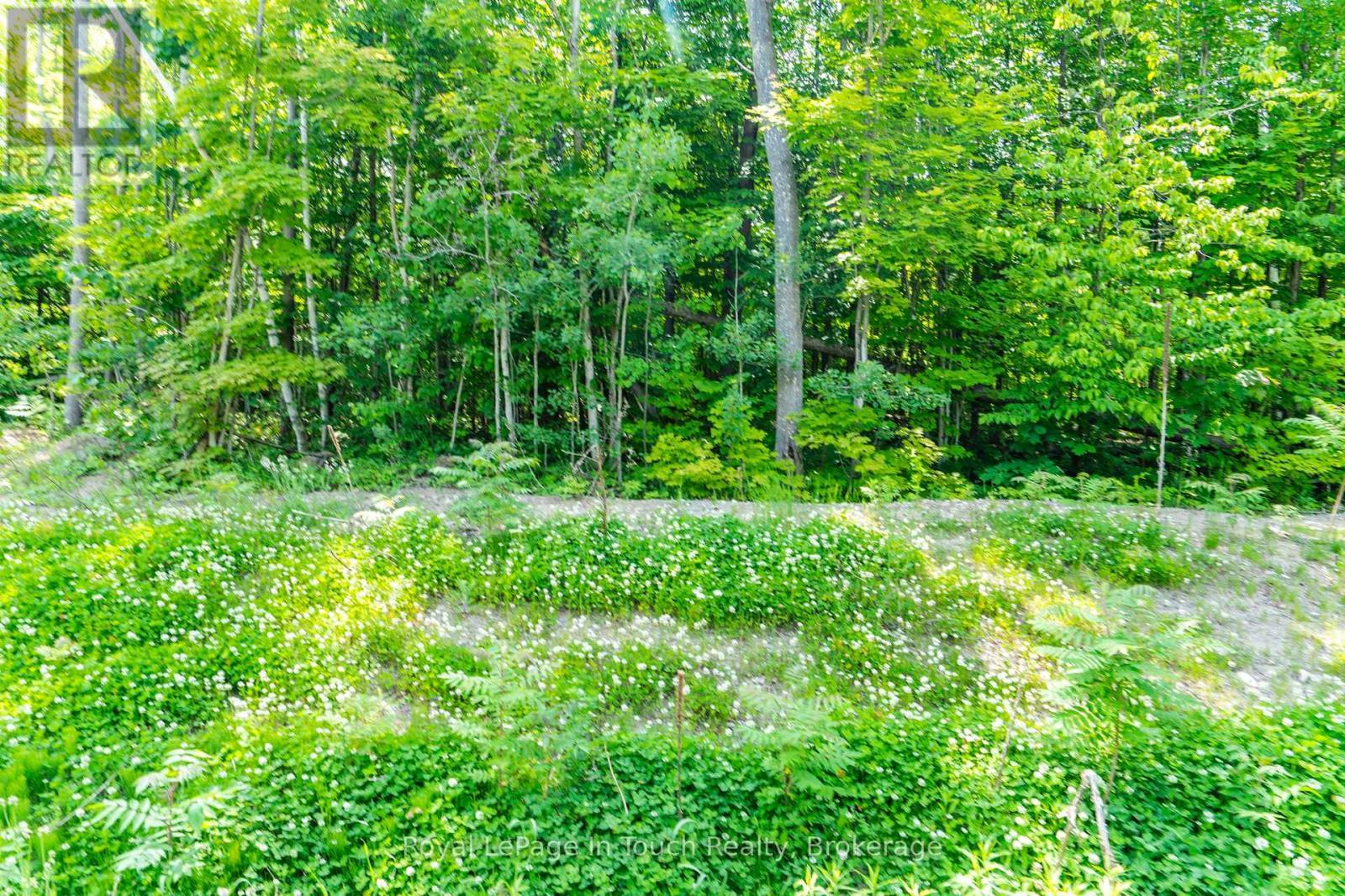 












LOT 41 EXPLORERS LANDING

,
Tiny,







Ontario
L9M0C2

